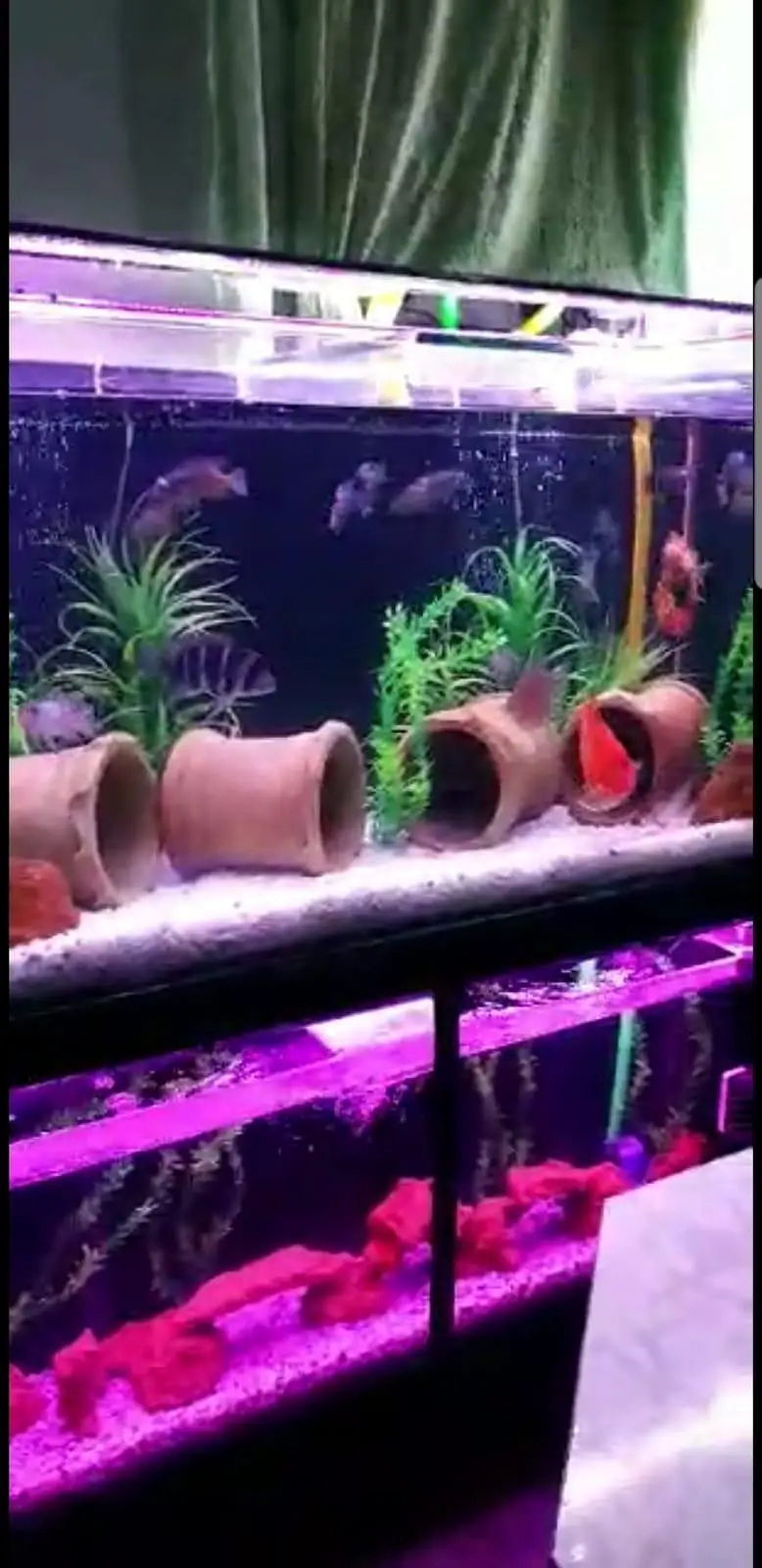 Stacked Aquariums — photo 4