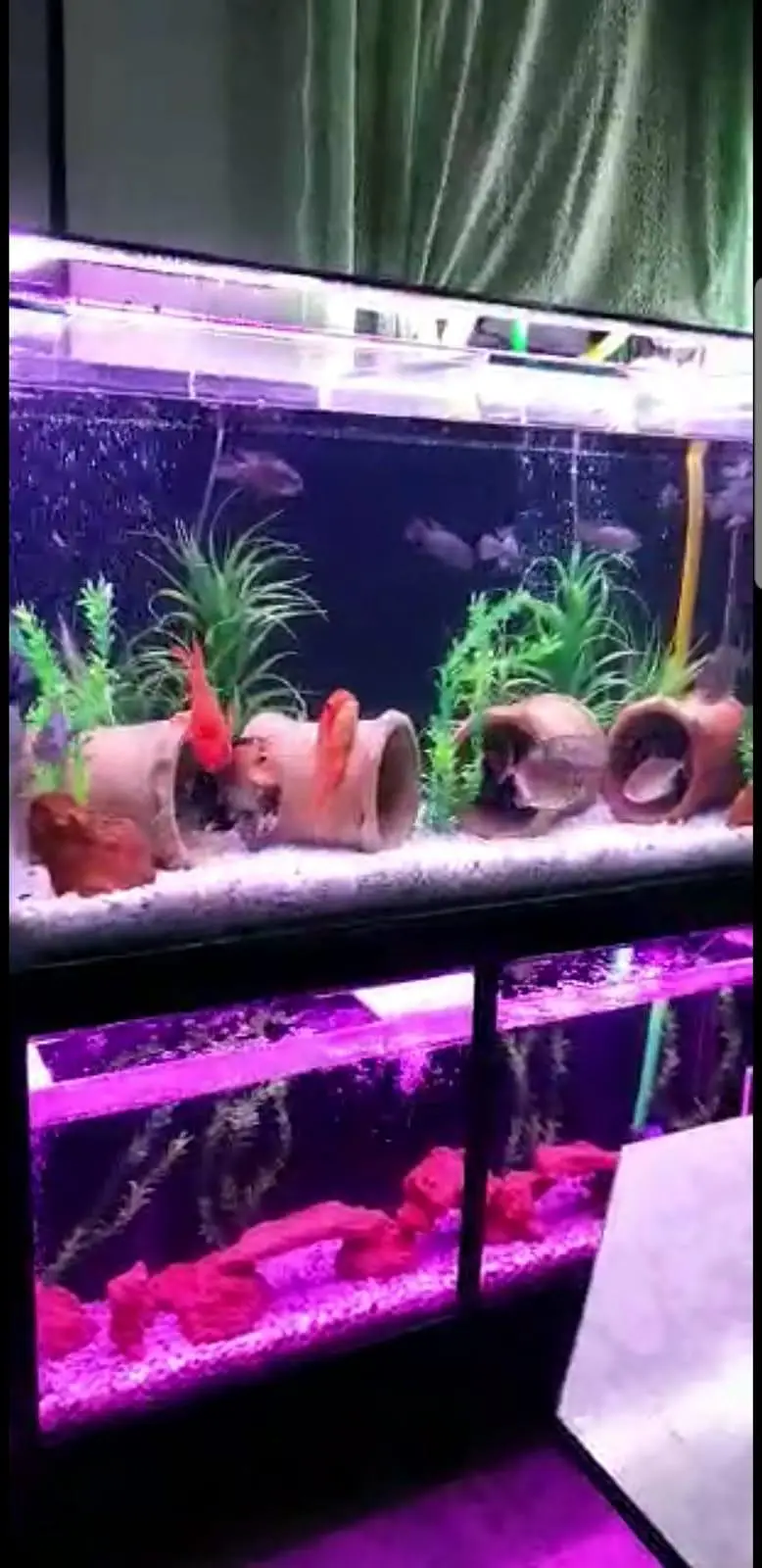 Stacked Aquariums — photo 6