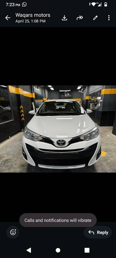 yaris