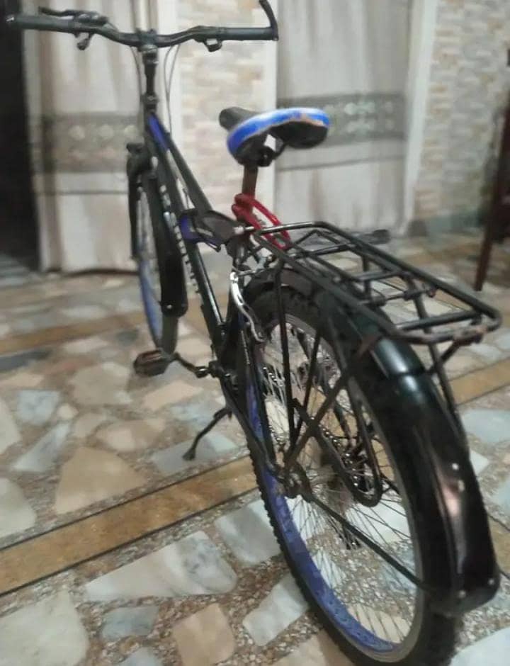 12 spring cycle 3