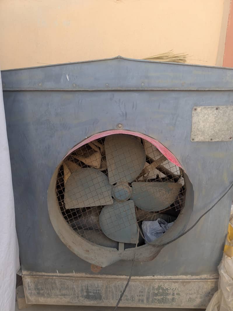 Jumbo size cooler 1