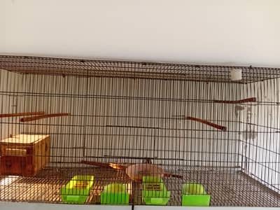 Birds cage For urgent sale