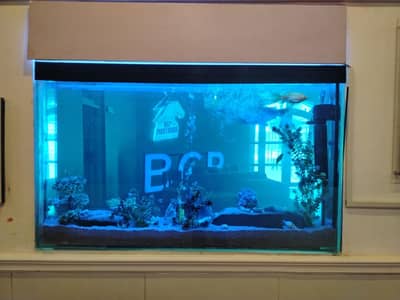 Fish aquarium all service in Lahore