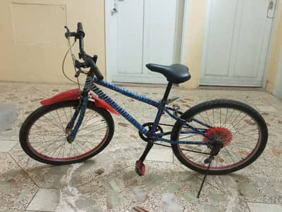 Bicycle With Gear