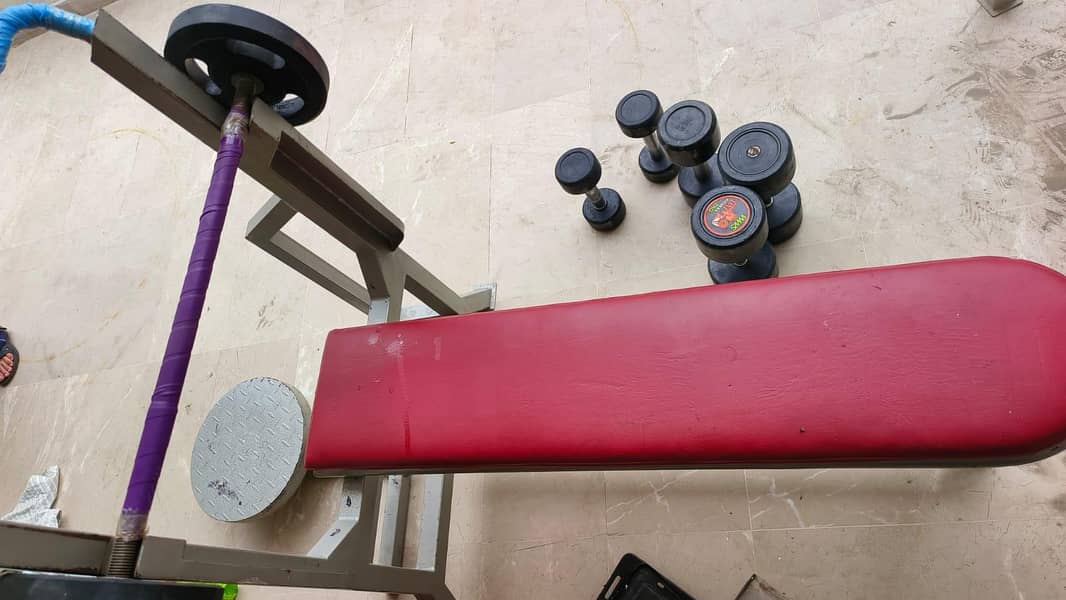 gym sets 2