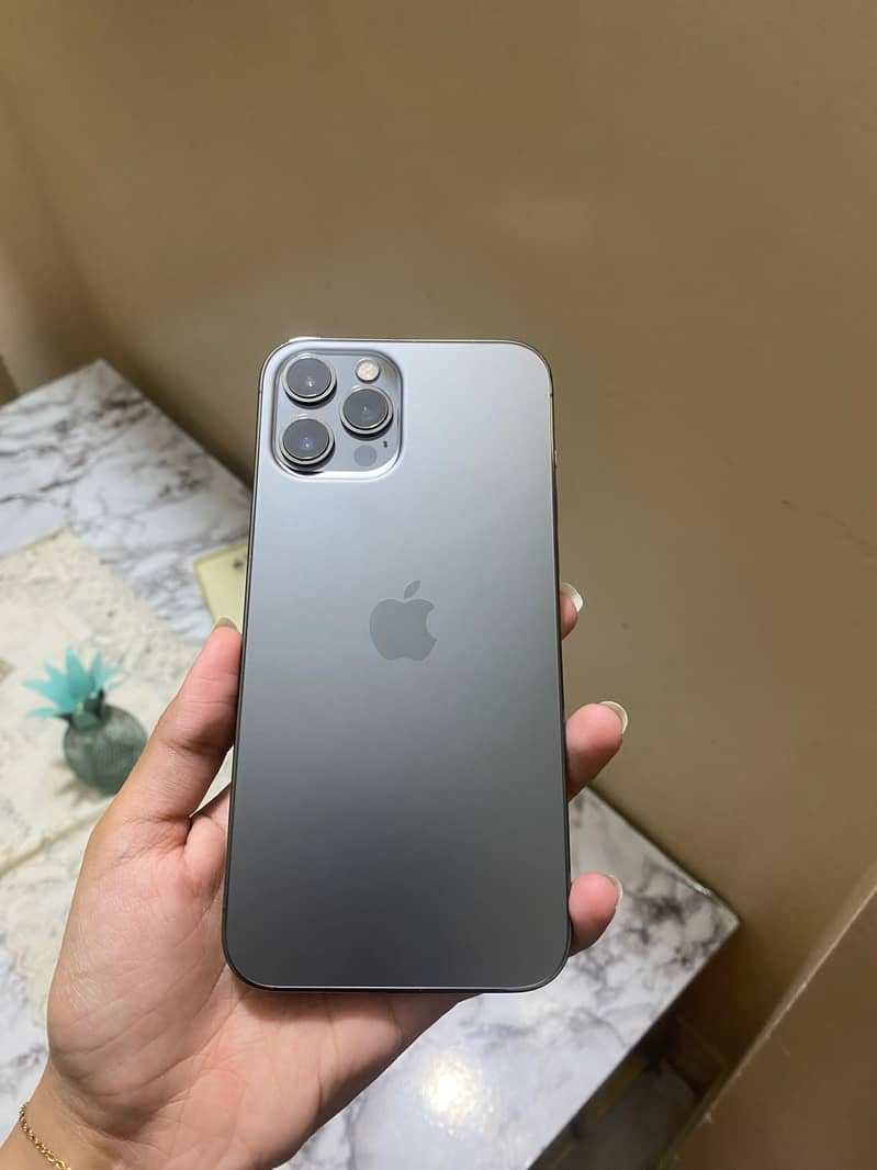 12 pro max 2
