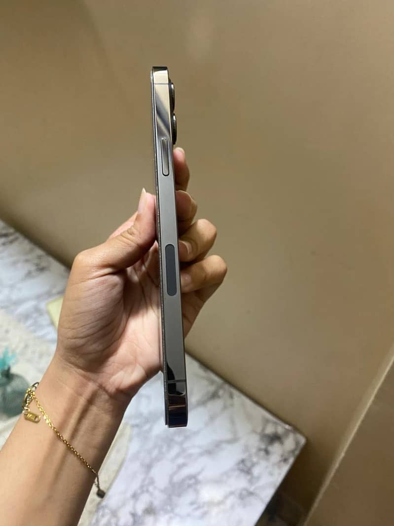 12 pro max 5