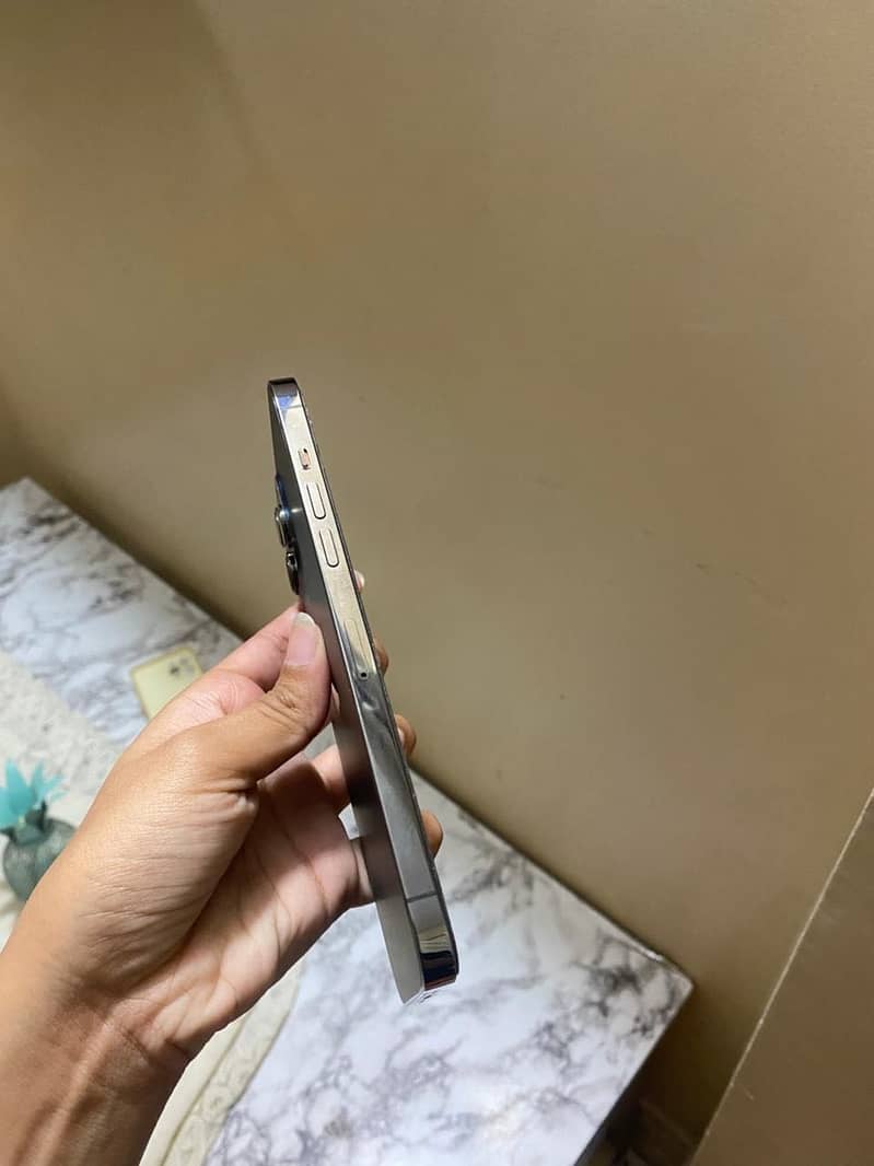 12 pro max 6