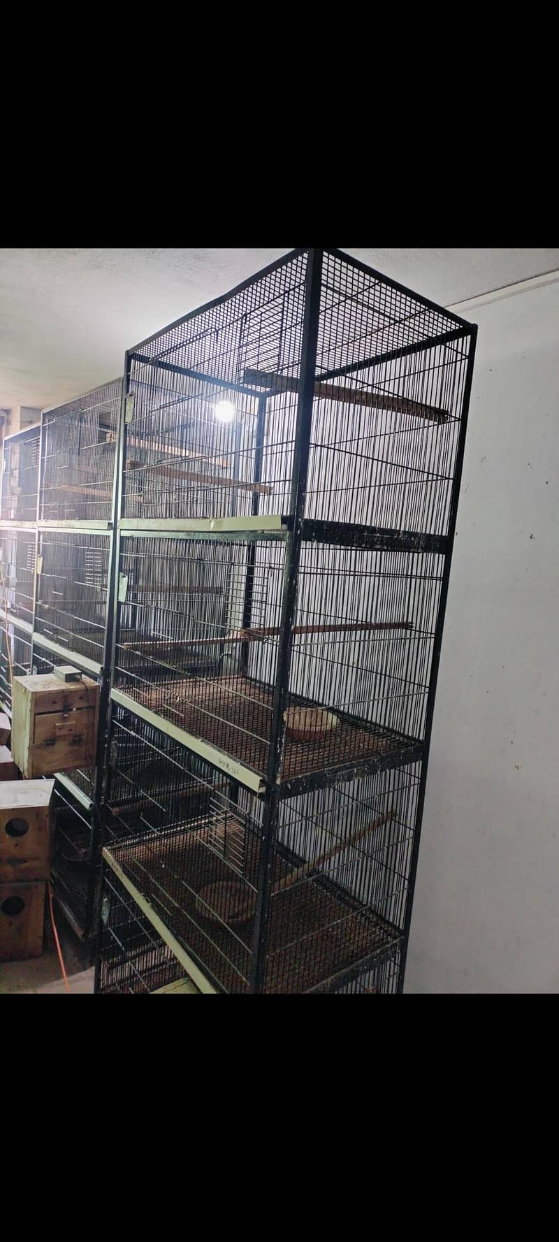 4 portion cage available 1