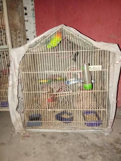 2 BIRDS CAGE