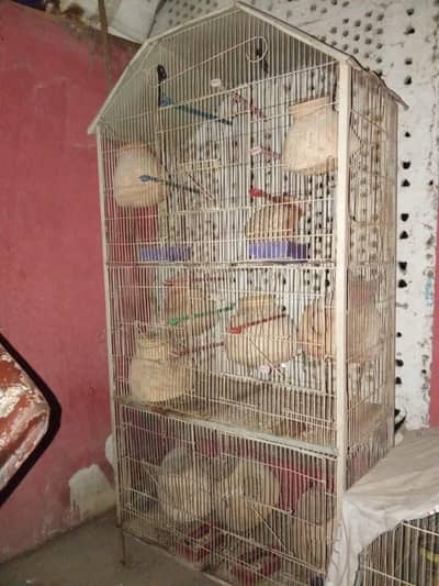 BIRDS CAGE