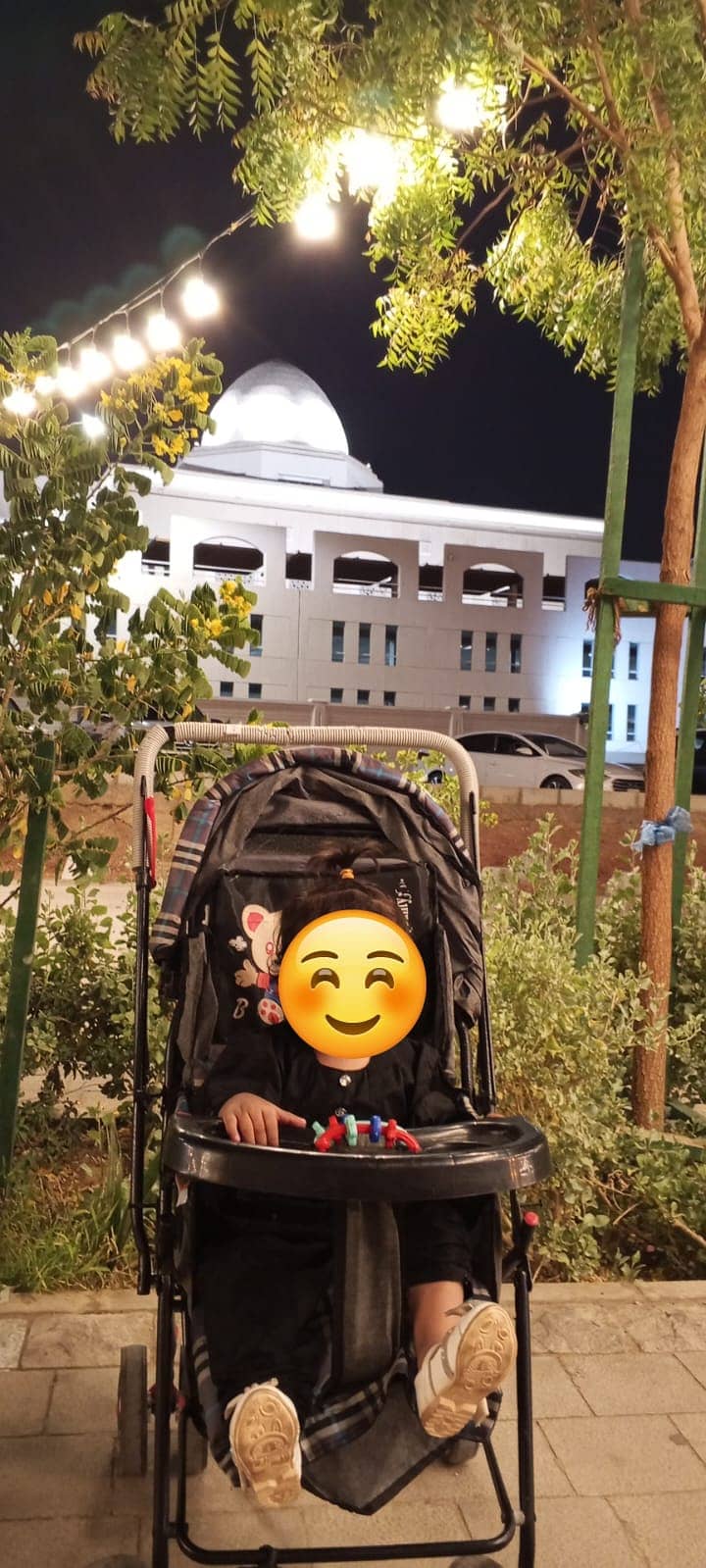 Stroller 1