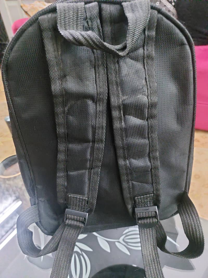 Bag,Hardshell Ladybug bag 2