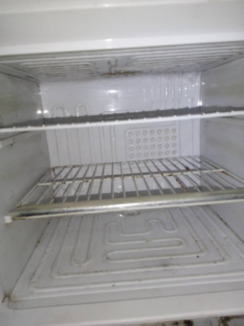 Waves Refrigerator 2
