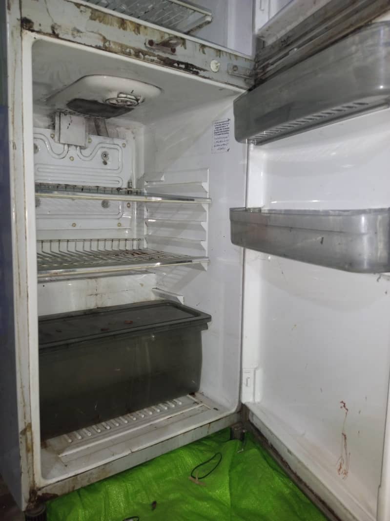 Waves Refrigerator 3