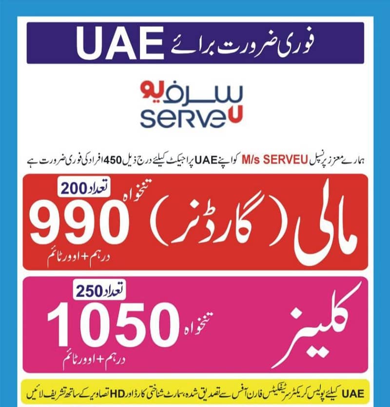 work permit visa - Other Jobs - 1113893040