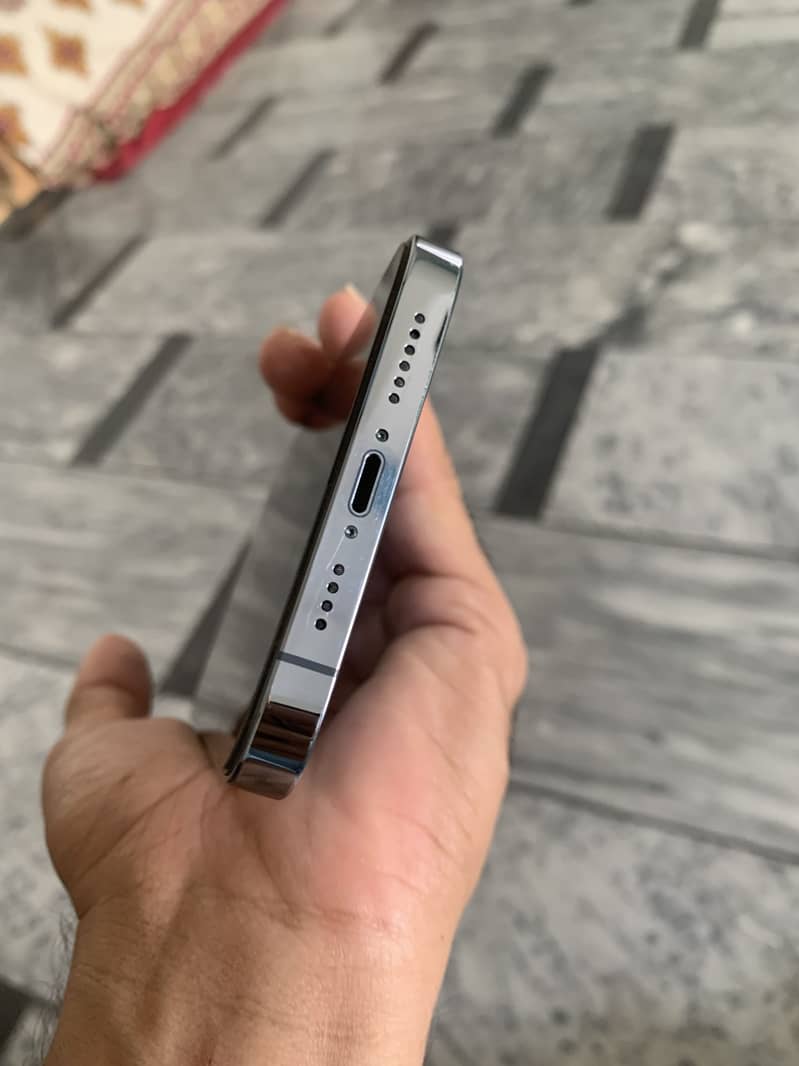 13 pro max 1