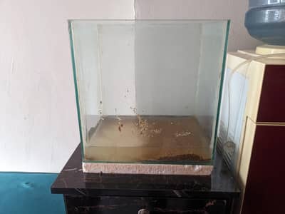 Aquarium