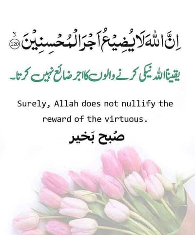 Jawaid Ali
