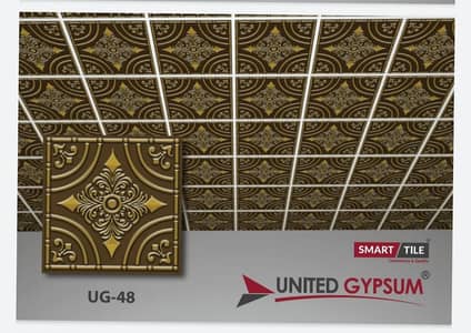 gypsum ceiling,False ceiling-Gypsum ceiling-2by2 Ceiling-Office room c
