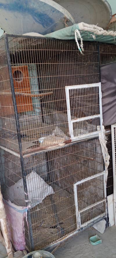 best quality cages