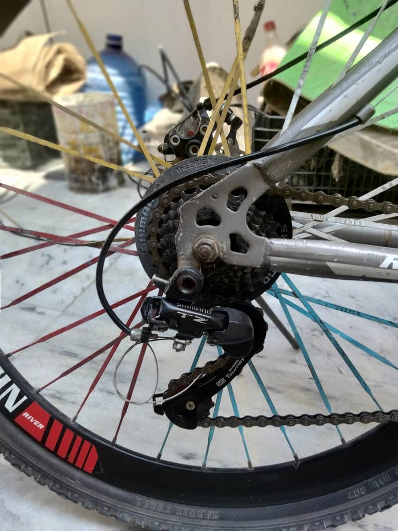 cycle 4