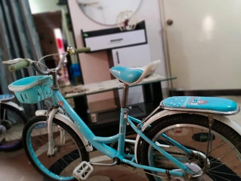 2 bicycle 2