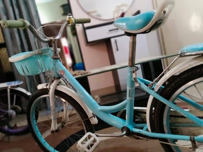 2 bicycle 11