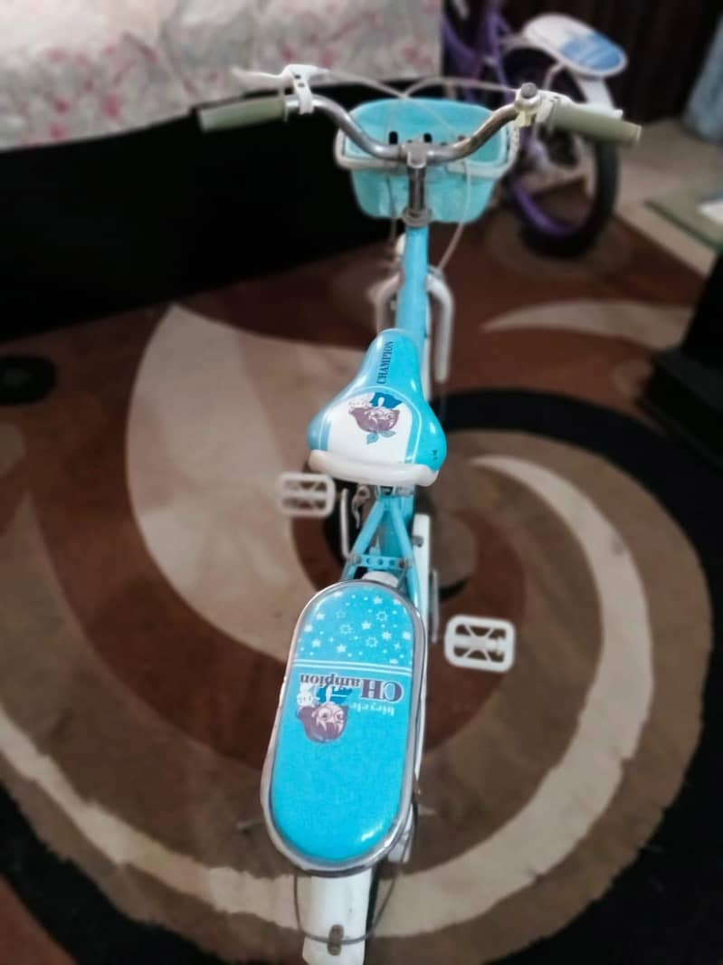 2 bicycle 13