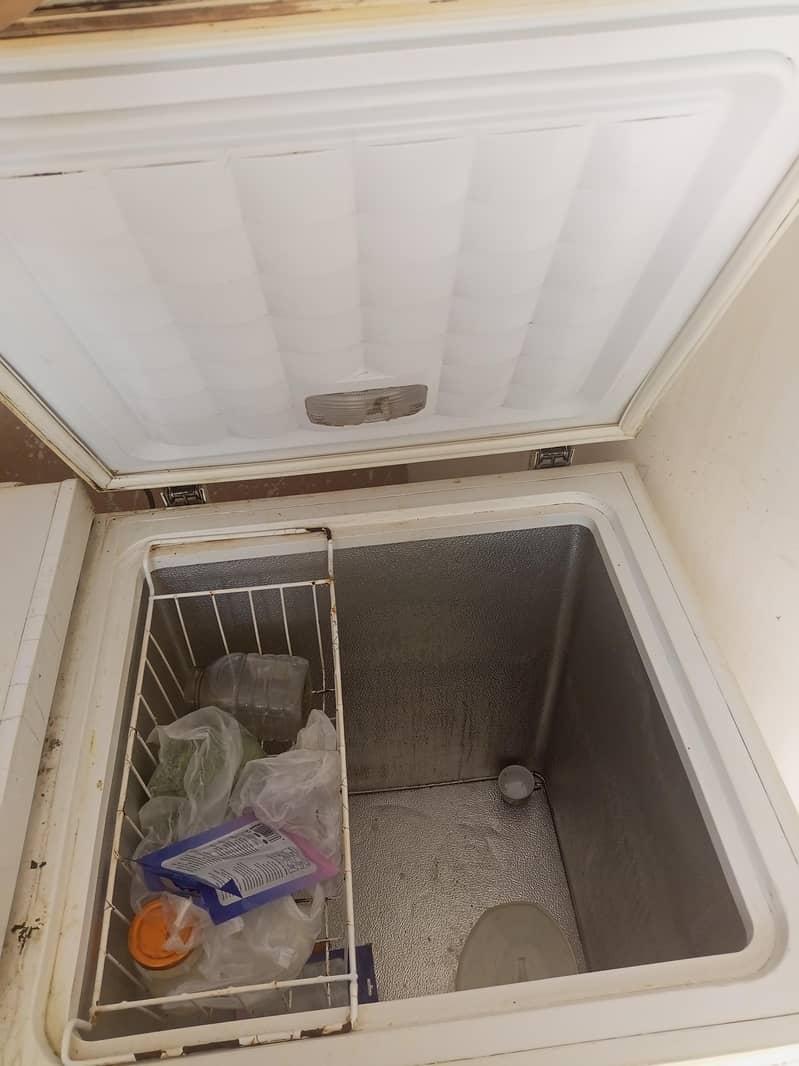 waves deep freezer 1