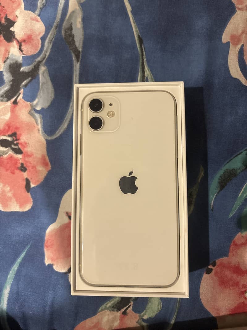 iPhone 11 0