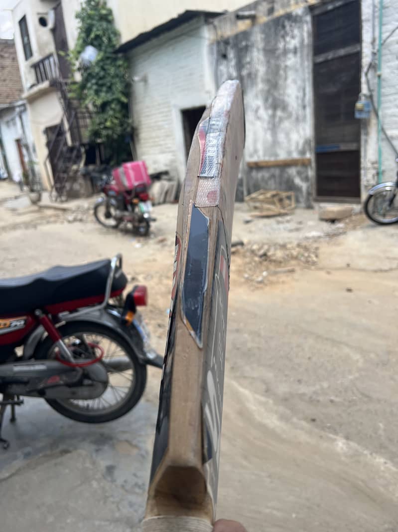 Cricket bat 0