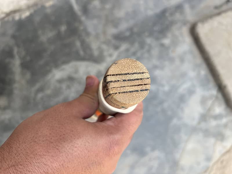Cricket bat 1