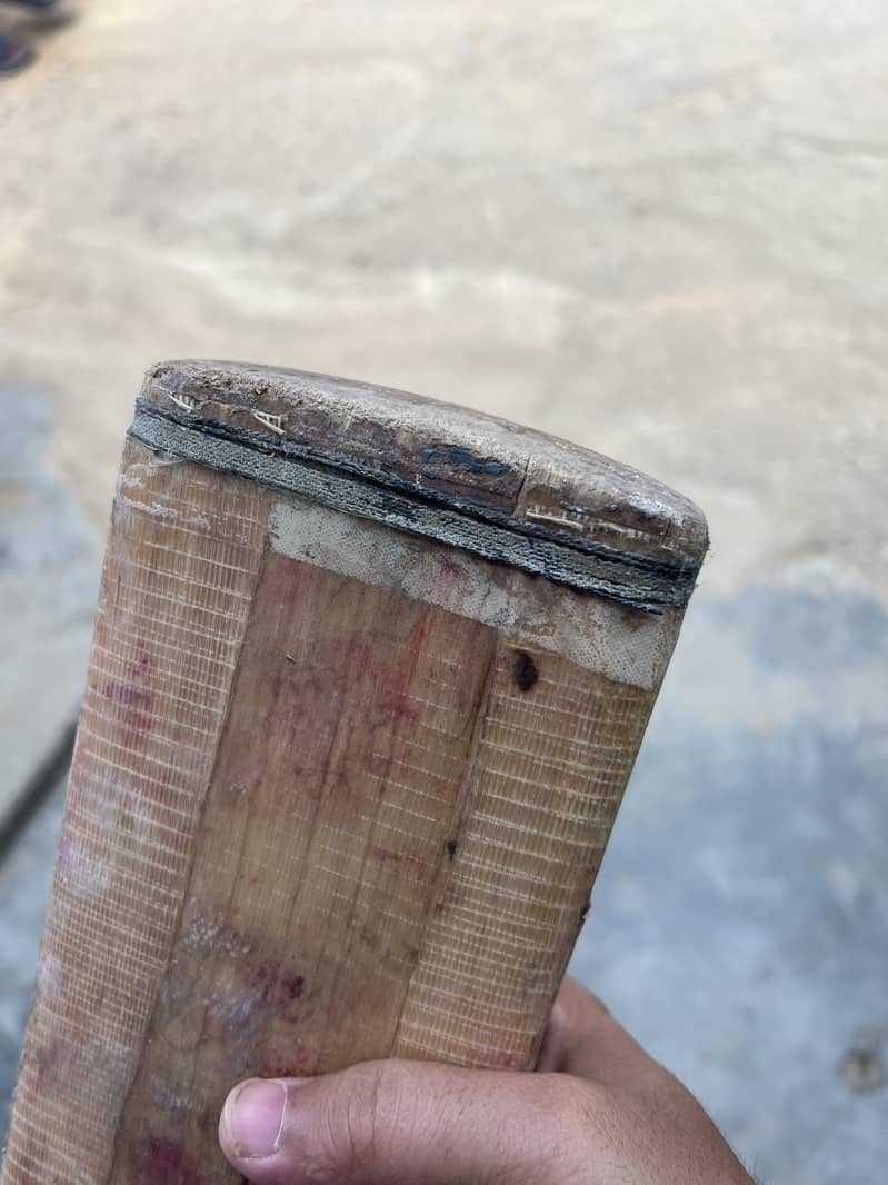 Cricket bat 5