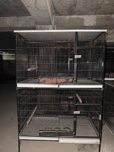 double portion cages for sale