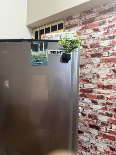 Fridge jumbo orient