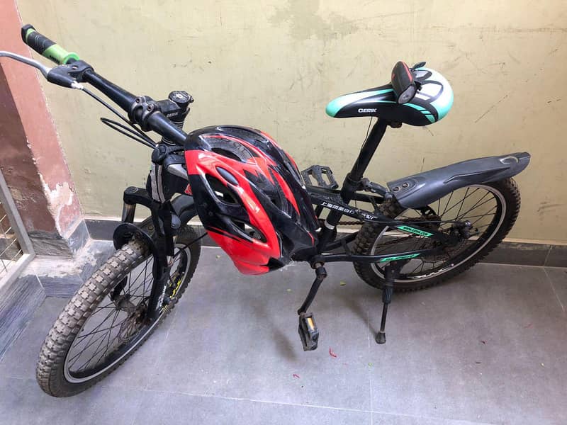 bicycle 1