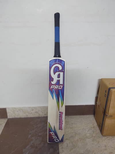 cricket bat