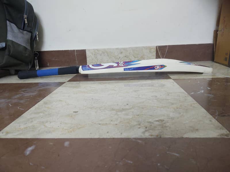 cricket bat 1