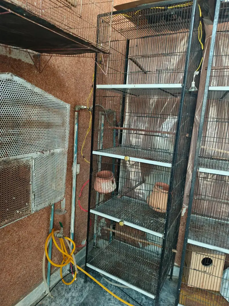 1.5 by 2 foot 4 portion cage  with accessories — photo 2