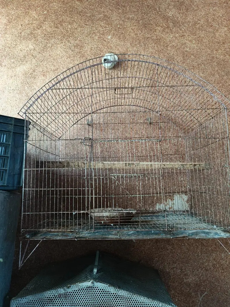1.5 by 2 foot 4 portion cage  with accessories — photo 3