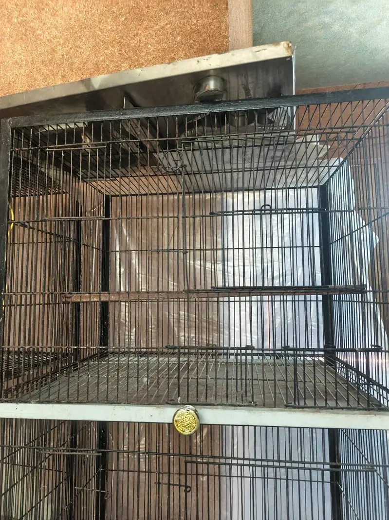 1.5 by 2 foot 4 portion cage  with accessories — photo 4