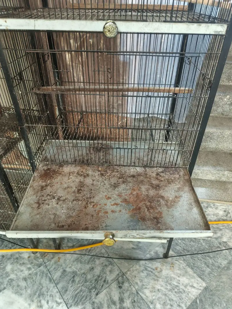 1.5 by 2 foot 4 portion cage  with accessories — photo 5