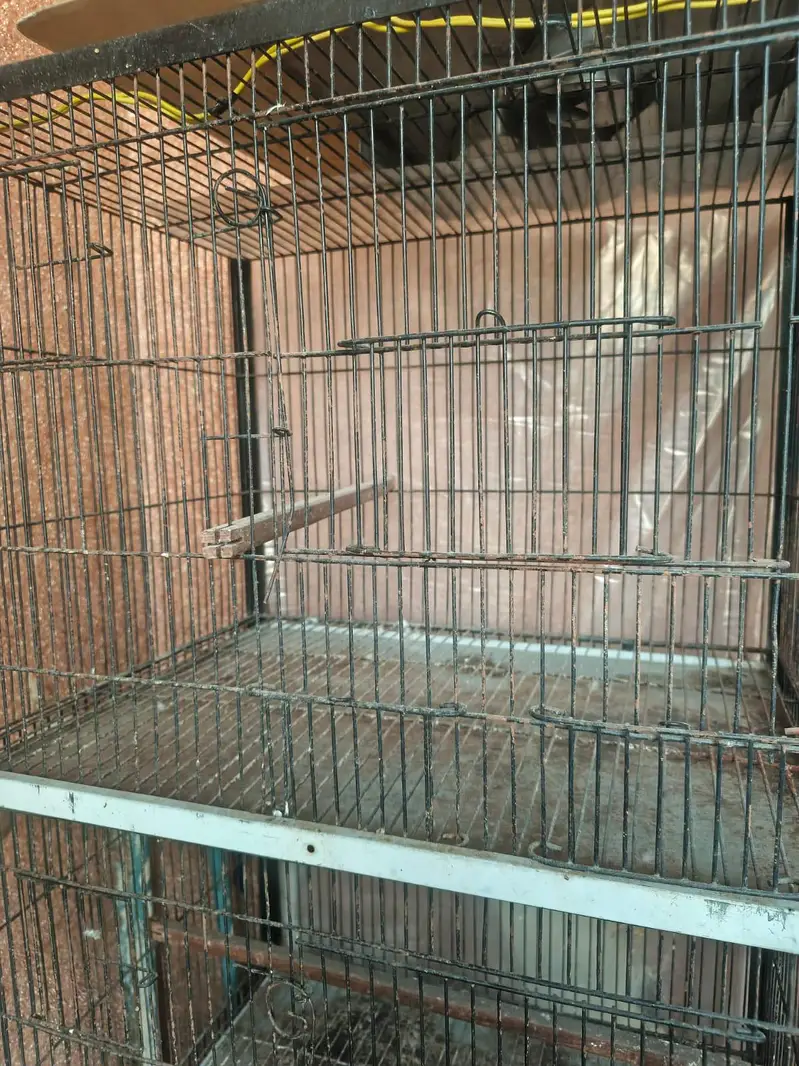 1.5 by 2 foot 4 portion cage  with accessories — photo 7