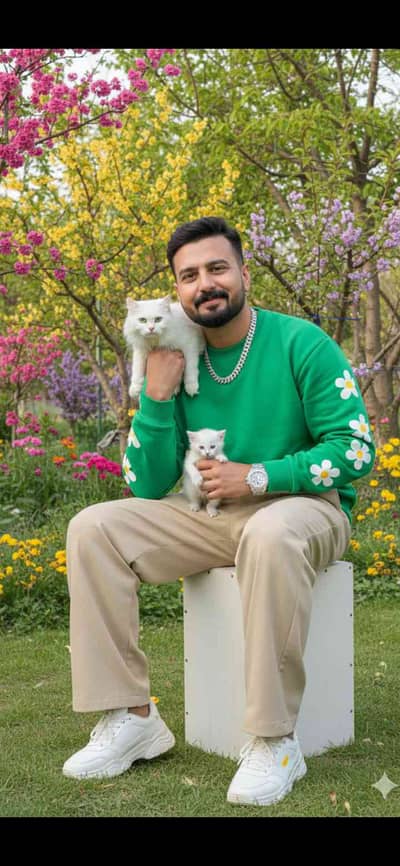 Kashif Naqvi