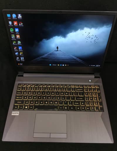 RTX 2060 6GB, Sager Laptop