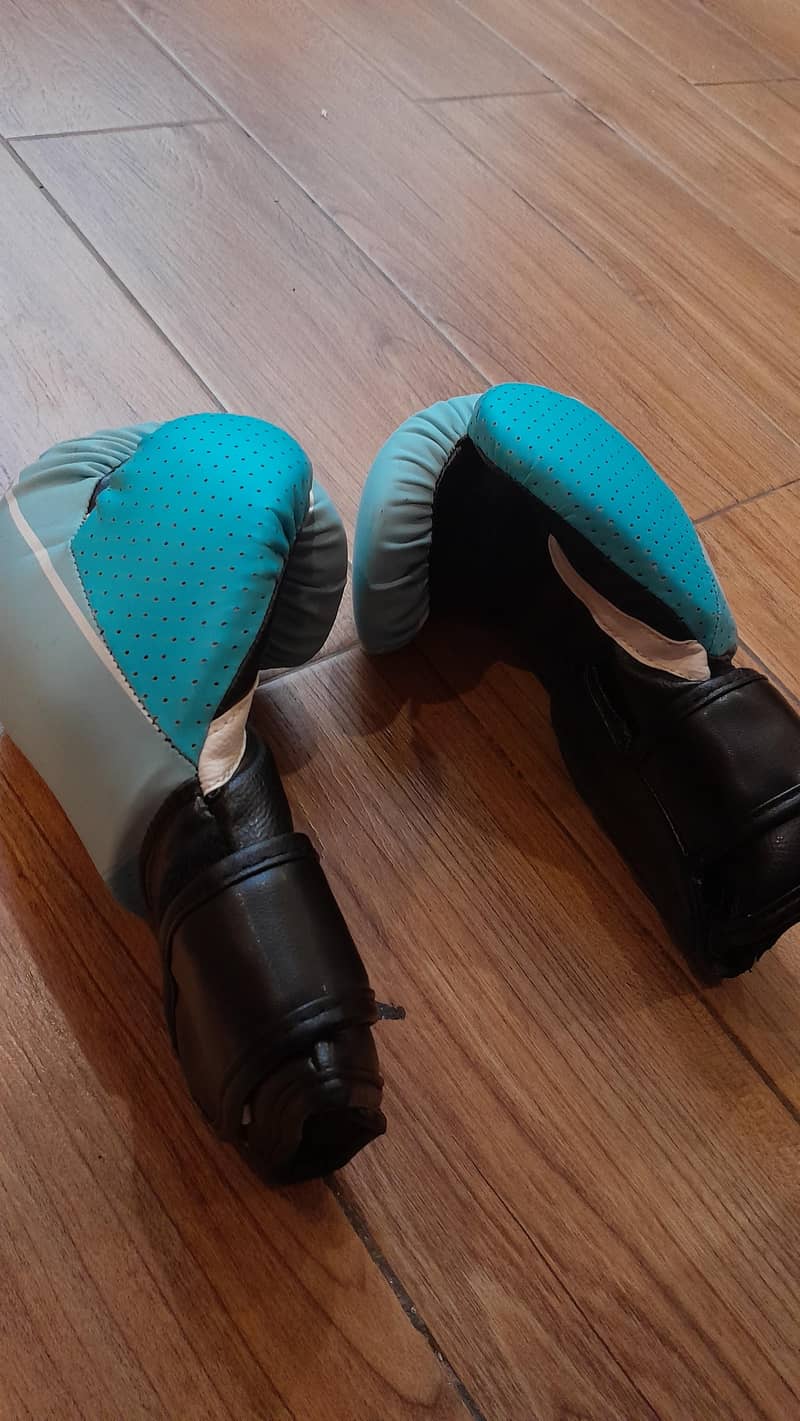 Boxing Gloves 0