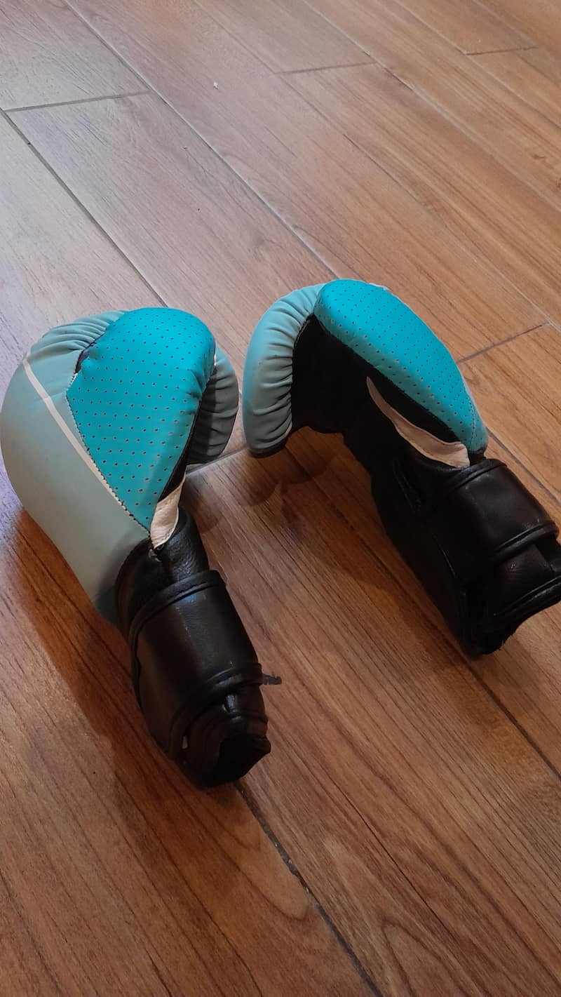 Boxing Gloves 1
