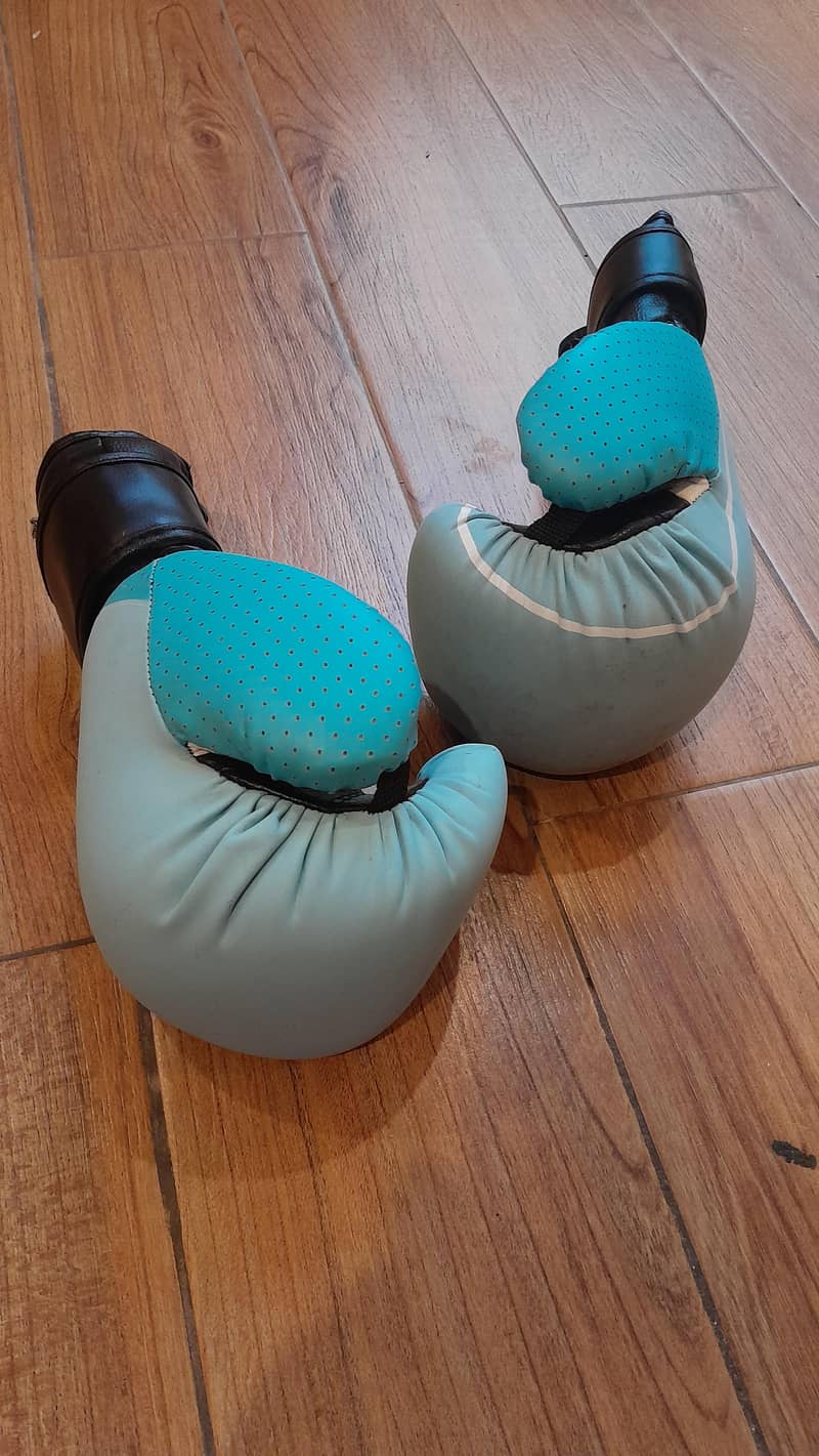 Boxing Gloves 2