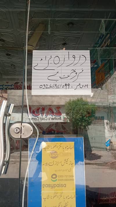 Office gals for sale